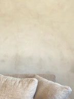 Plaster Paint (Raw)