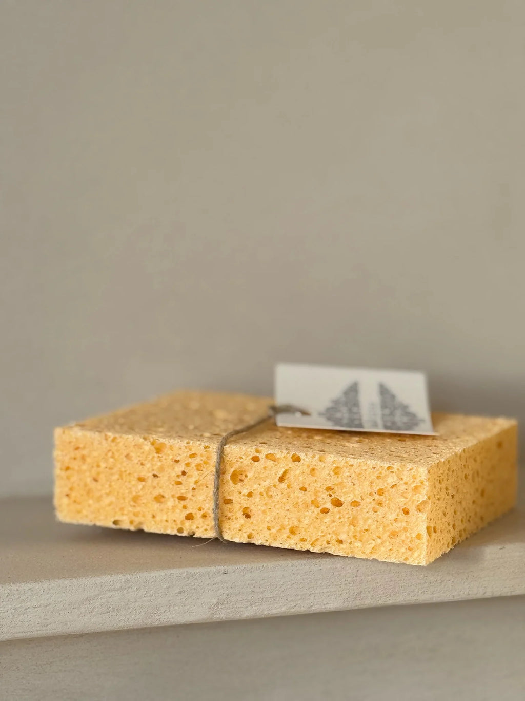 Sponge