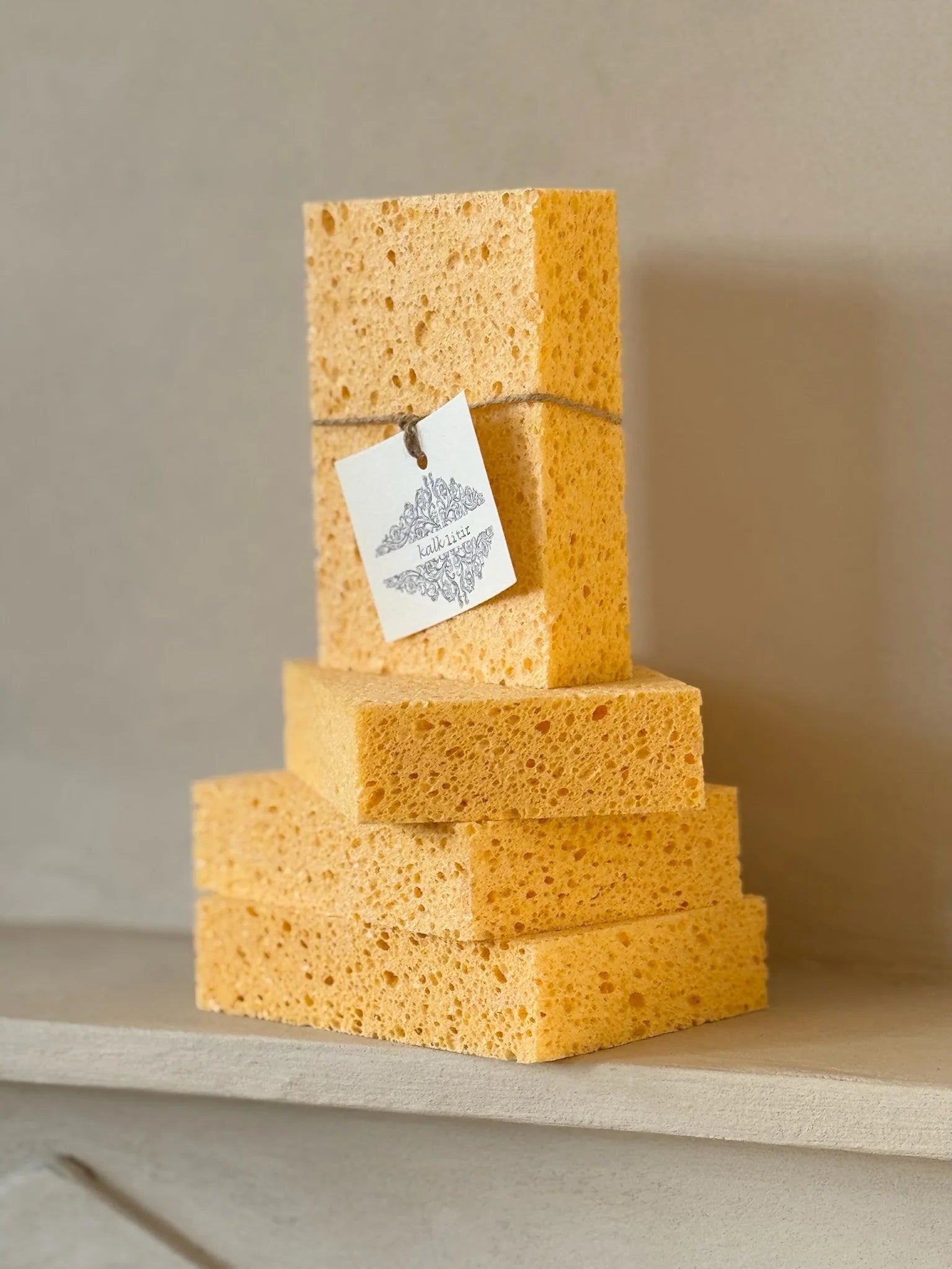 Sponge